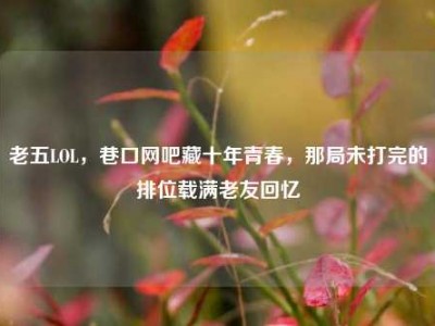 老五LOL，巷口网吧藏十年青春，那局未打完的排位载满老友回忆