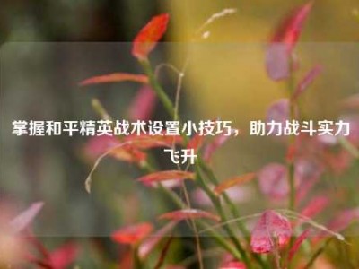 掌握和平精英战术设置小技巧，助力战斗实力飞升