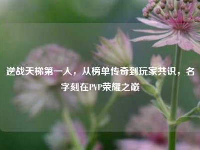 逆战天梯第一人，从榜单传奇到玩家共识，名字刻在PVP荣耀之巅
