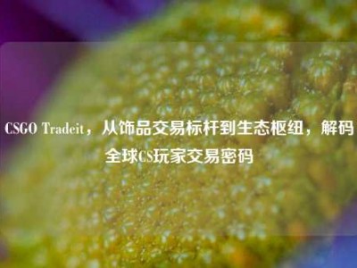 CSGO Tradeit，从饰品交易标杆到生态枢纽，解码全球CS玩家交易密码