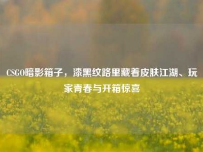 CSGO暗影箱子，漆黑纹路里藏着皮肤江湖、玩家青春与开箱惊喜
