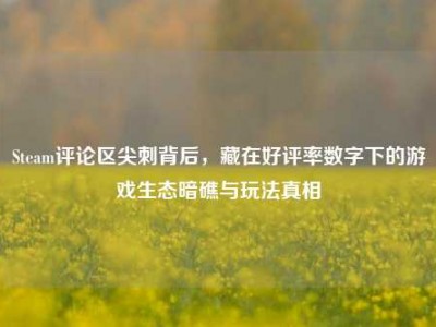 Steam评论区尖刺背后，藏在好评率数字下的游戏生态暗礁与玩法真相