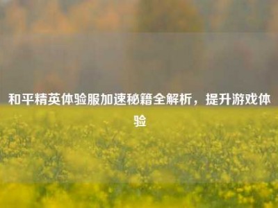 和平精英体验服加速秘籍全解析，提升游戏体验