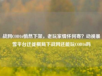 战网COD16悄然下架，老玩家情怀何寄？动视暴雪平台迁徙棋局下战网还能玩COD16吗