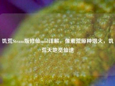 饥荒Steam版修仙mod详解，像素荒原种烟火，饥荒天地觅仙途