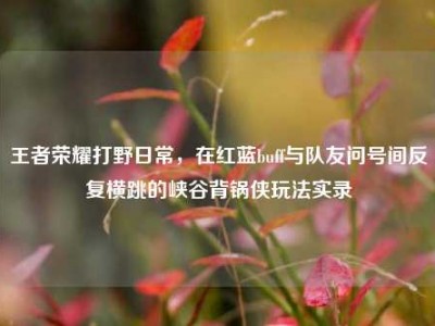 王者荣耀打野日常，在红蓝buff与队友问号间反复横跳的峡谷背锅侠玩法实录