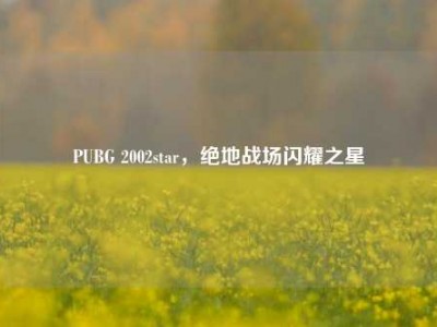 PUBG 2002star，绝地战场闪耀之星