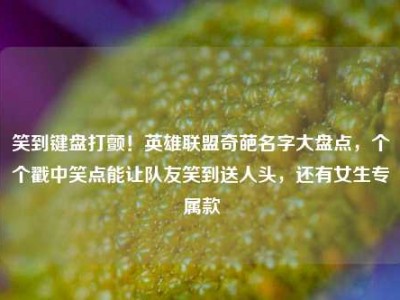 笑到键盘打颤！英雄联盟奇葩名字大盘点，个个戳中笑点能让队友笑到送人头，还有女生专属款