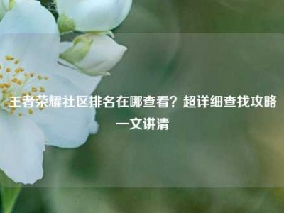 王者荣耀社区排名在哪查看？超详细查找攻略一文讲清