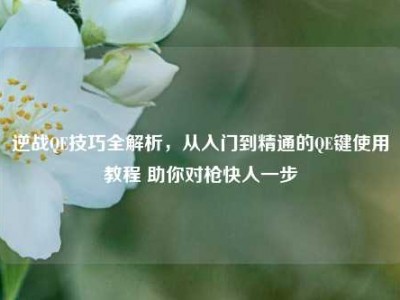 逆战QE技巧全解析，从入门到精通的QE键使用教程 助你对枪快人一步