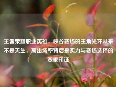 王者荣耀职业英雄，峡谷赛场的主角光环从来不是天生，高出场率背后是实力与赛场选择的双重印证