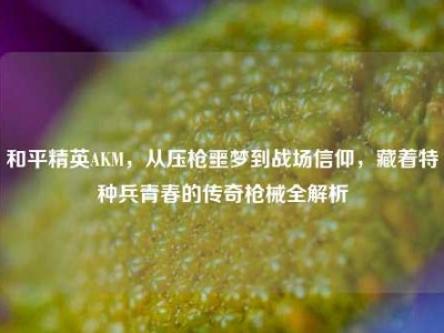 和平精英AKM，从压枪噩梦到战场信仰，藏着特种兵青春的传奇枪械全解析