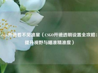 csgo开镜看不见准星（CSGO开镜透明设置全攻略：提升视野与瞄准精准度）