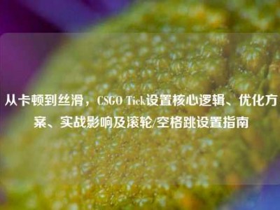 从卡顿到丝滑，CSGO Tick设置核心逻辑、优化方案、实战影响及滚轮/空格跳设置指南