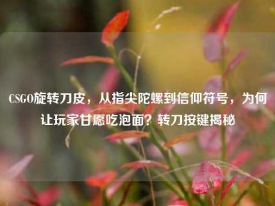 CSGO旋转刀皮，从指尖陀螺到信仰符号，为何让玩家甘愿吃泡面？转刀按键揭秘