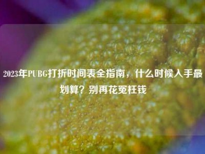 2023年PUBG打折时间表全指南，什么时候入手最划算？别再花冤枉钱