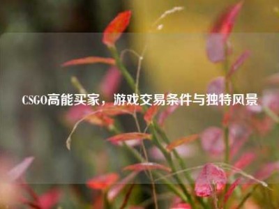 CSGO高能买家，游戏交易条件与独特风景