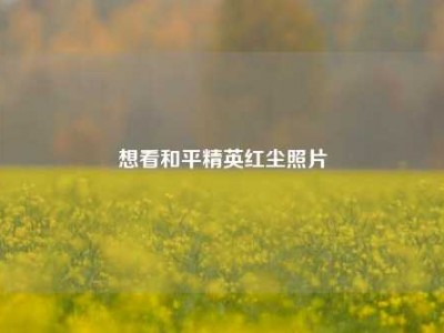 想看和平精英红尘照片