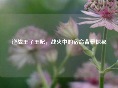 逆战王子王妃，战火中的宿命背景探秘