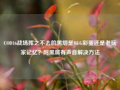 COD16战场挥之不去的黑烟是BUG彩蛋还是老玩家记忆？附黑屏有声音解决方法