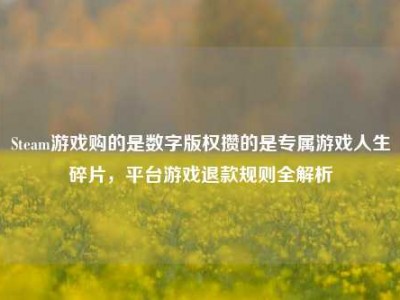 Steam游戏购的是数字版权攒的是专属游戏人生碎片，平台游戏退款规则全解析