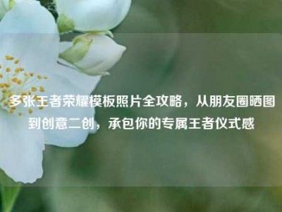 多张王者荣耀模板照片全攻略，从朋友圈晒图到创意二创，承包你的专属王者仪式感