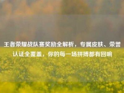 王者荣耀战队赛奖励全解析，专属皮肤、荣誉认证全覆盖，你的每一场拼搏都有回响