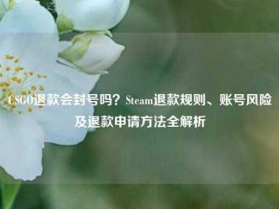CSGO退款会封号吗？Steam退款规则、账号风险及退款申请方法全解析