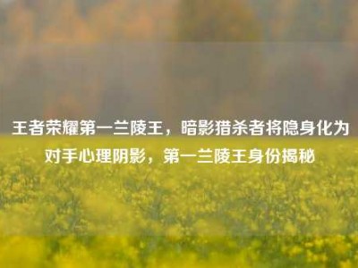 王者荣耀第一兰陵王，暗影猎杀者将隐身化为对手心理阴影，第一兰陵王身份揭秘