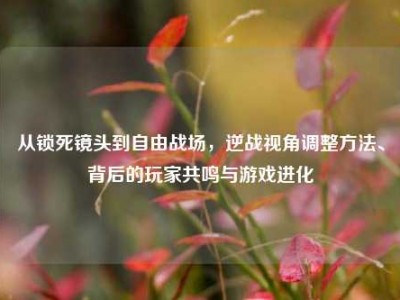从锁死镜头到自由战场，逆战视角调整方法、背后的玩家共鸣与游戏进化