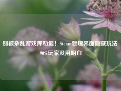 别被杂乱游戏库劝退！Steam管理界面隐藏玩法 90%玩家没用明白