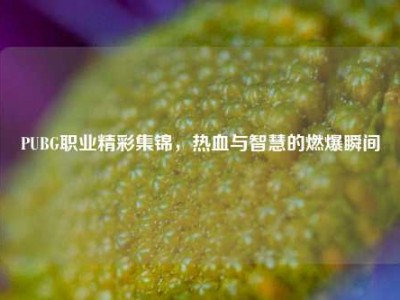 PUBG职业精彩集锦，热血与智慧的燃爆瞬间