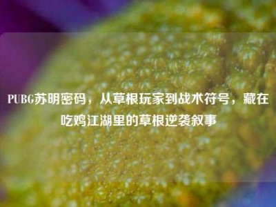 PUBG苏明密码，从草根玩家到战术符号，藏在吃鸡江湖里的草根逆袭叙事