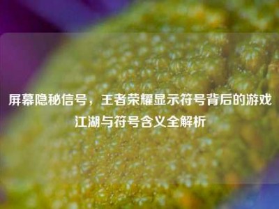 屏幕隐秘信号，王者荣耀显示符号背后的游戏江湖与符号含义全解析