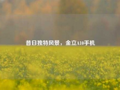 昔日独特风景，金立A10手机