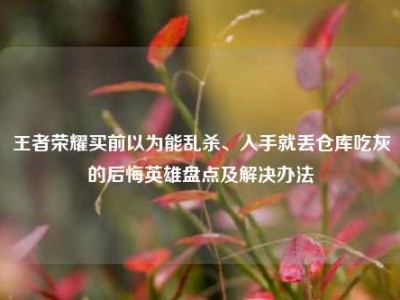 王者荣耀买前以为能乱杀、入手就丢仓库吃灰的后悔英雄盘点及解决办法