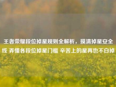 王者荣耀段位掉星规则全解析，摸清掉星安全线 弄懂各段位掉星门槛 辛苦上的星再也不白掉