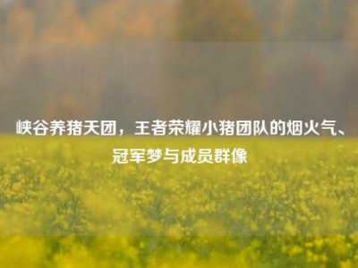 峡谷养猪天团，王者荣耀小猪团队的烟火气、冠军梦与成员群像