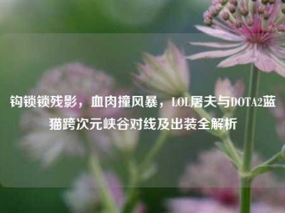 钩锁锁残影，血肉撞风暴，LOL屠夫与DOTA2蓝猫跨次元峡谷对线及出装全解析