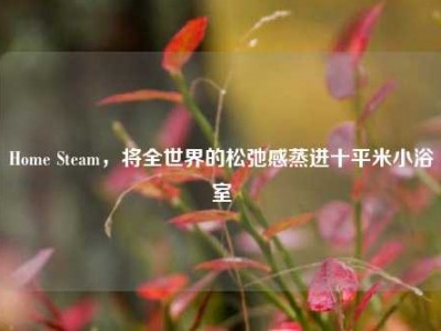 Home Steam，将全世界的松弛感蒸进十平米小浴室