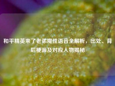 和平精英来了老弟魔性语音全解析，出处、背后梗源及对应人物揭秘