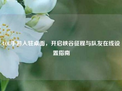 LOL手游入驻桌面，开启峡谷征程与队友在线设置指南