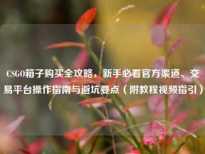 CSGO箱子购买全攻略，新手必看官方渠道、交易平台操作指南与避坑要点（附教程视频指引）