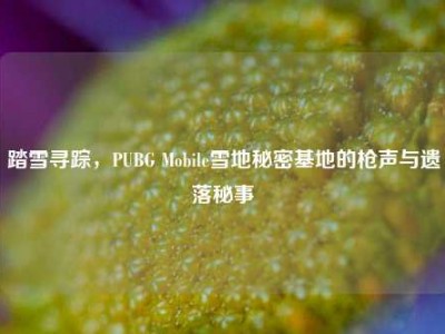 踏雪寻踪，PUBG Mobile雪地秘密基地的枪声与遗落秘事