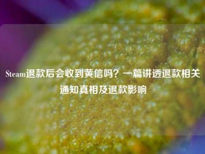 Steam退款后会收到黄信吗？一篇讲透退款相关通知真相及退款影响