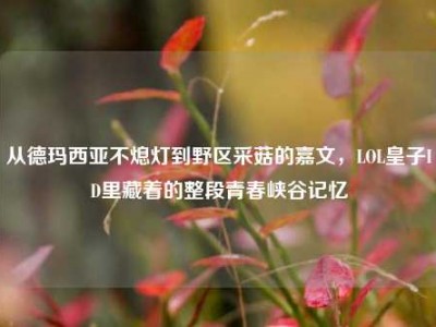 从德玛西亚不熄灯到野区采菇的嘉文，LOL皇子ID里藏着的整段青春峡谷记忆