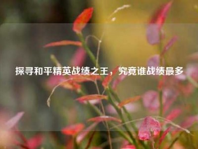 探寻和平精英战绩之王，究竟谁战绩最多