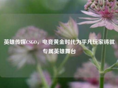 英雄传媒CSGO，电竞黄金时代为平凡玩家铸就专属英雄舞台