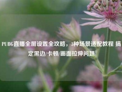 PUBG直播全屏设置全攻略，3种场景适配教程 搞定黑边/卡顿/画面拉伸问题