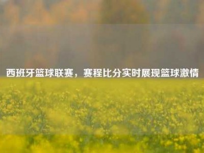 西班牙篮球联赛，赛程比分实时展现篮球激情